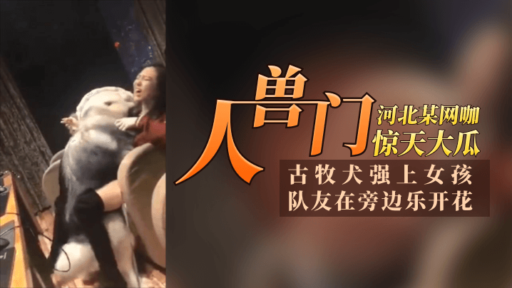 【12.11驚天大瓜】河北某網咖「人獸門」！古牧犬強上女孩，隊友再旁邊樂開花，青年人太會玩了！